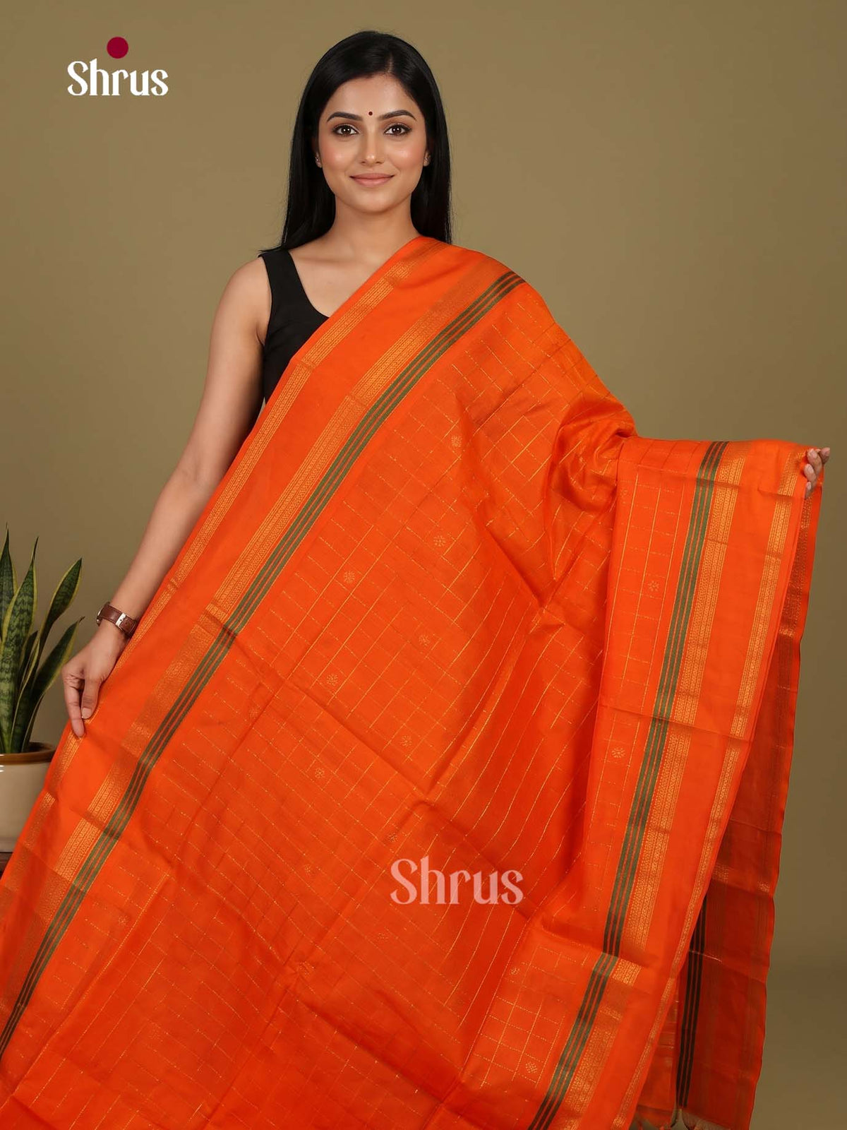 Silk Cotton Saree - EI23020