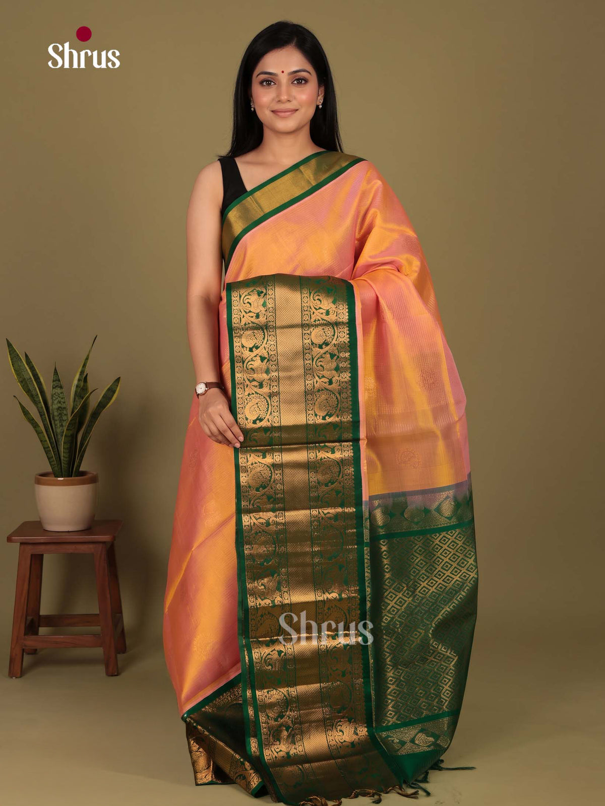Silk Cotton Saree - EI23021