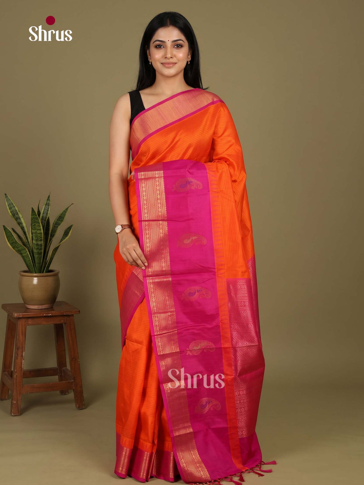 Silk Cotton Saree - EI23023