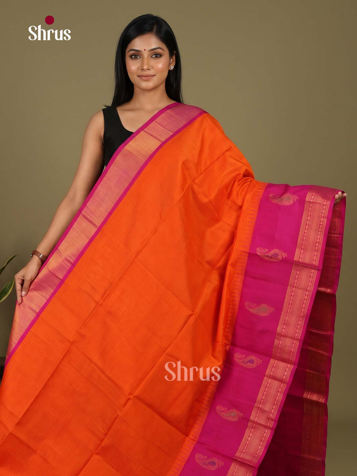 Silk Cotton Saree - EI23023