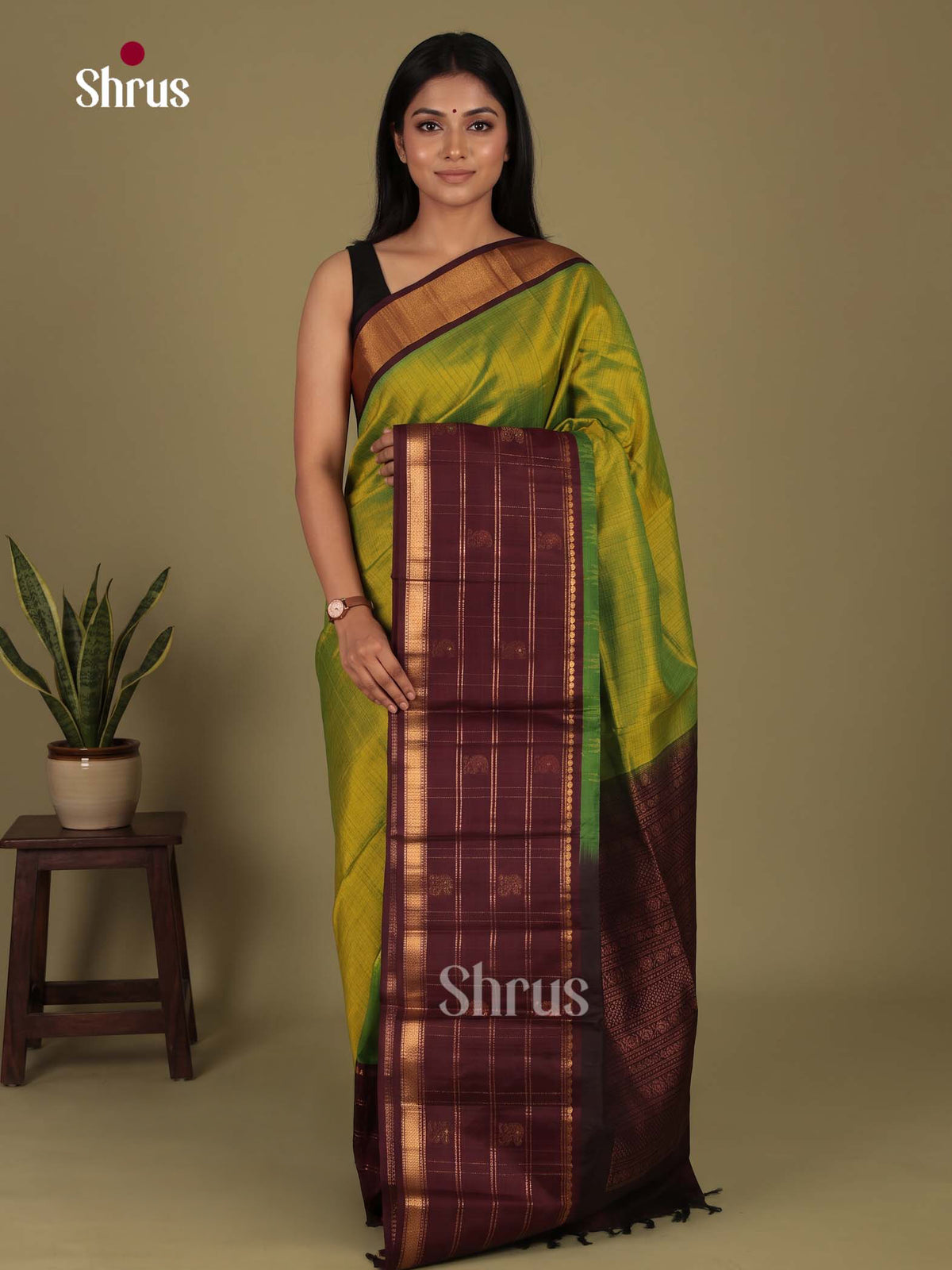Silk Cotton Saree - EI23027