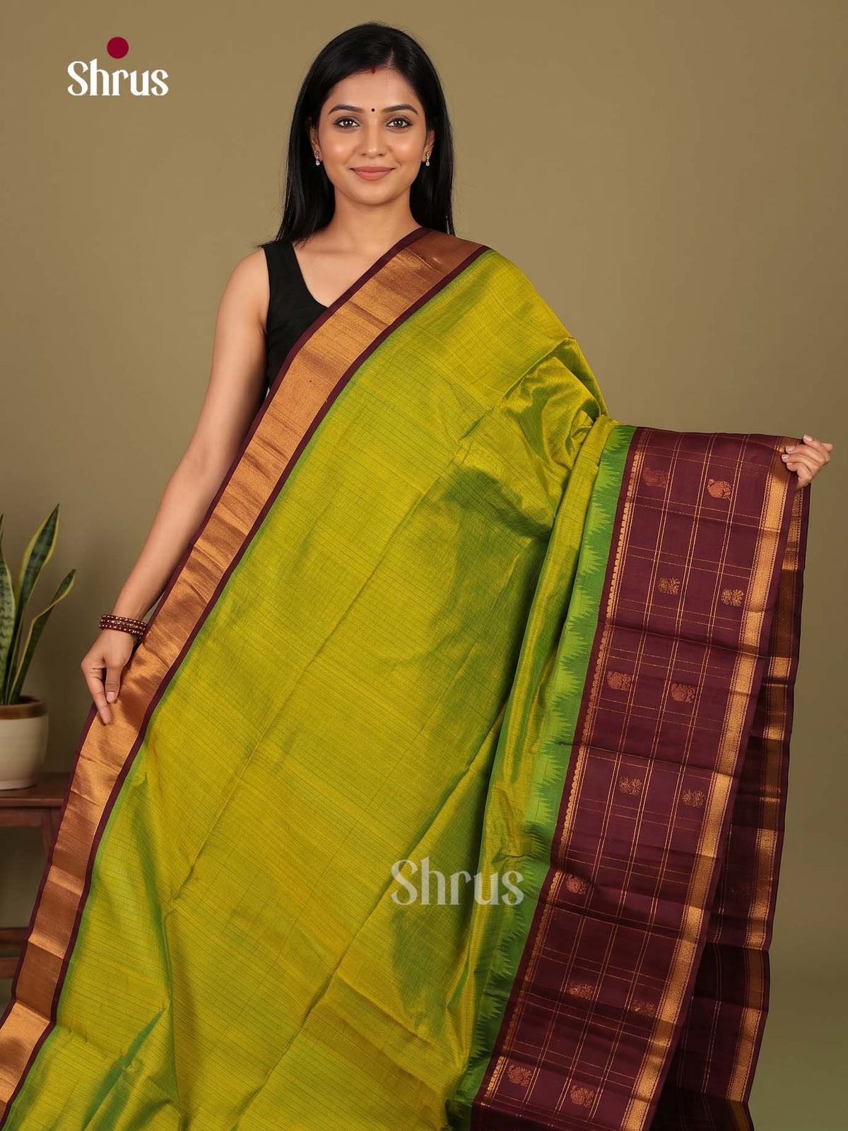 Silk Cotton Saree - EI23027