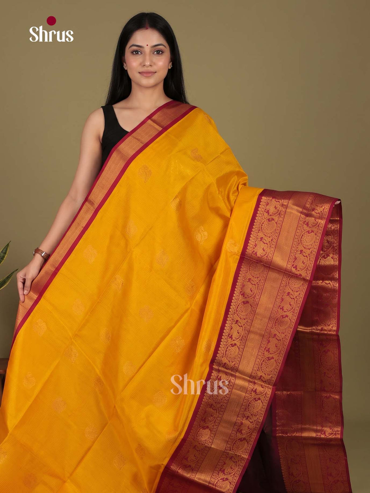 Silk Cotton Saree - EI23028