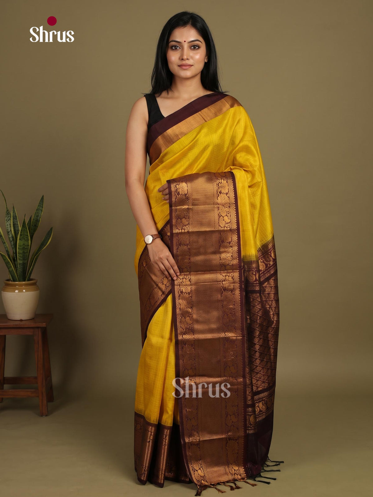 Silk Cotton Saree - EI23029