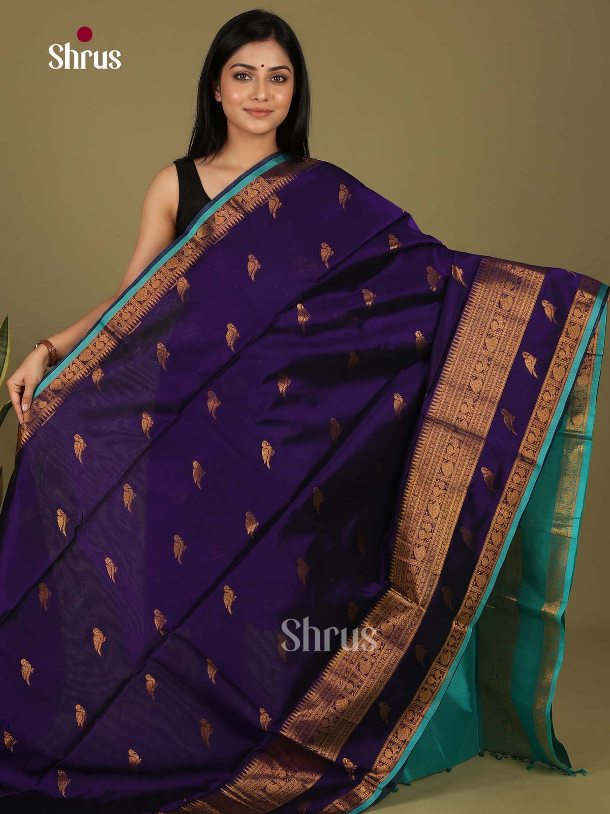 Silk Cotton Saree - EI23031