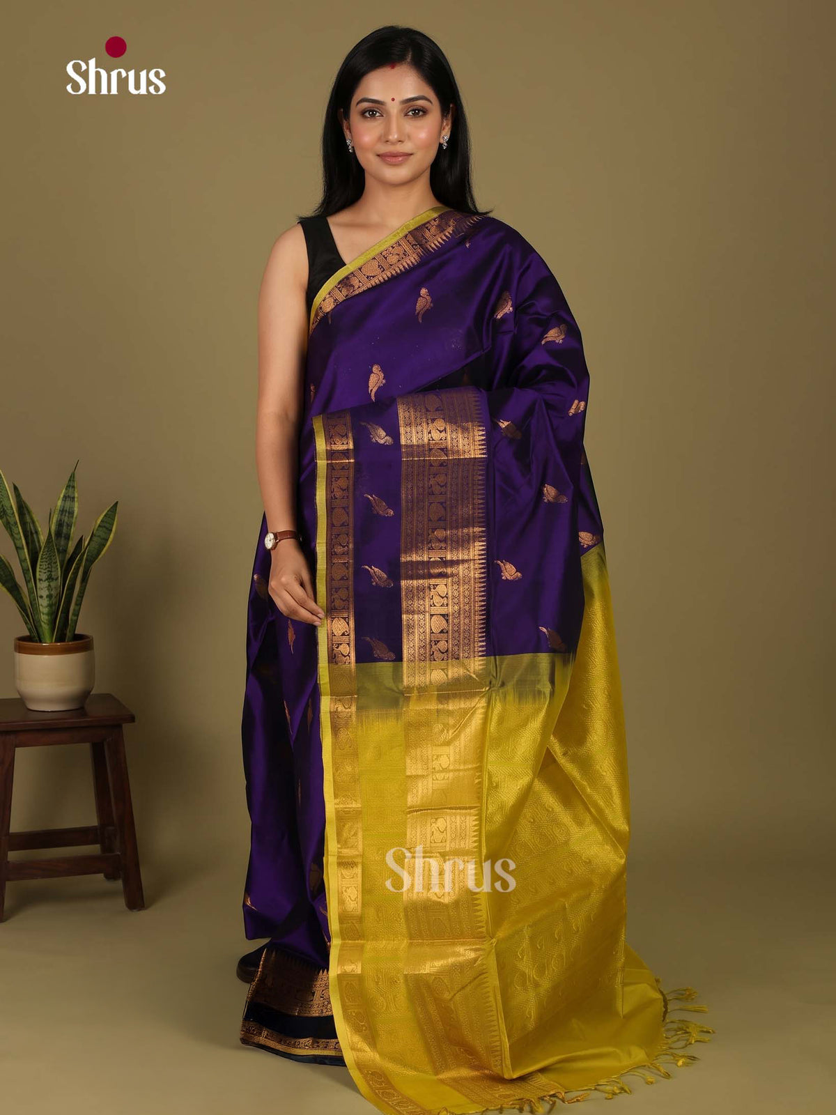 Silk Cotton Saree - EI23032