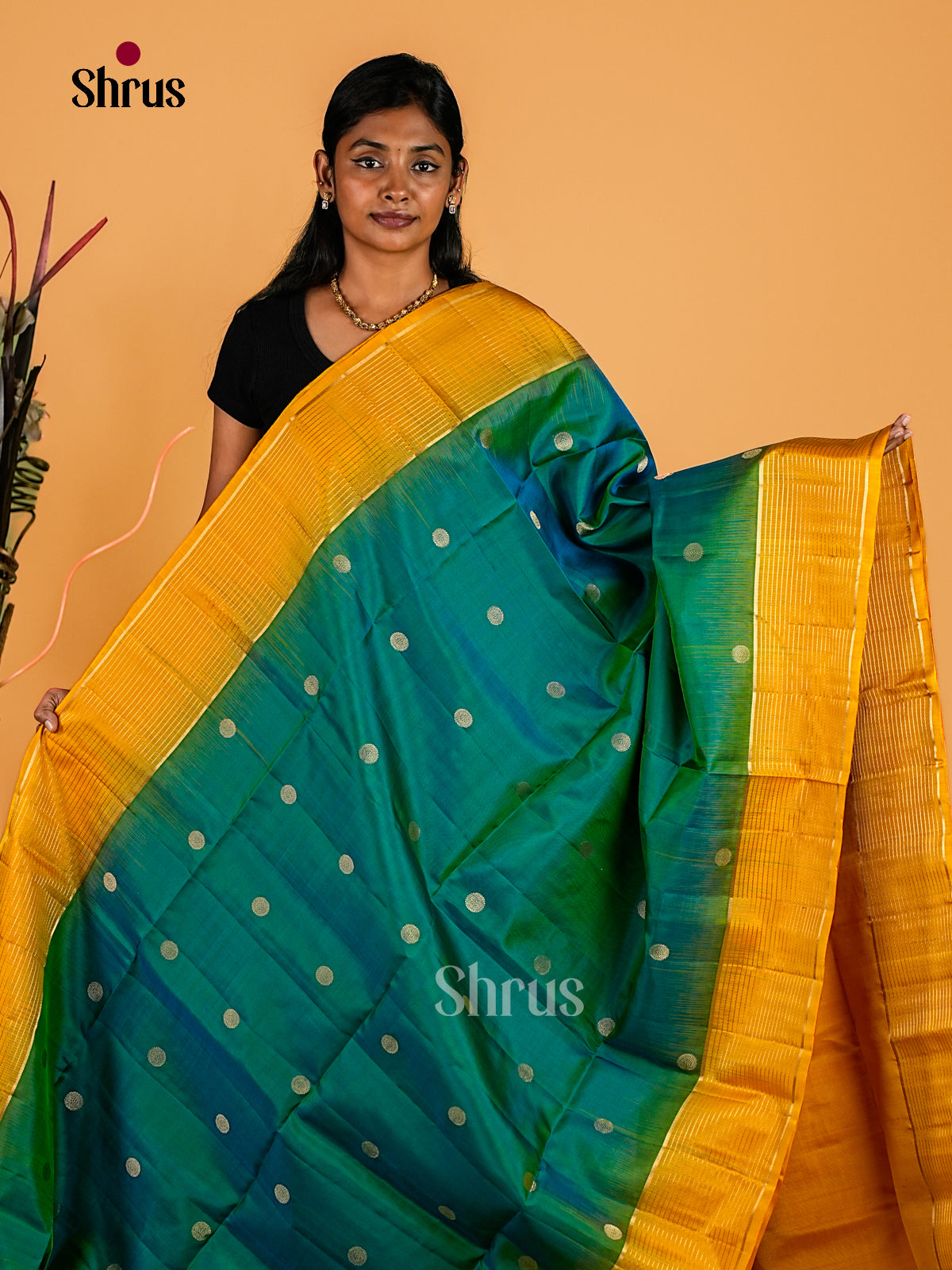 Soft Silk Saree - EI23054