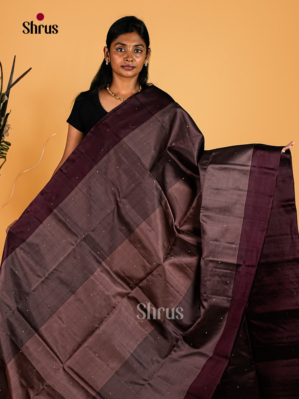Soft Silk Saree - EI23091