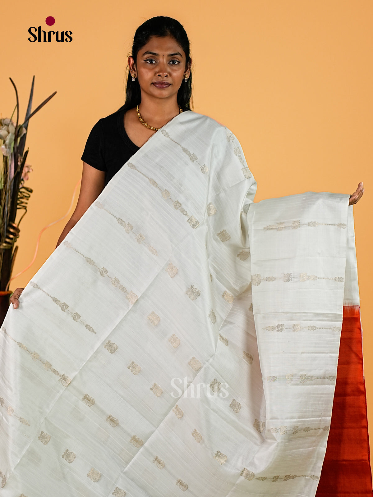 Soft Silk Saree - EI23097
