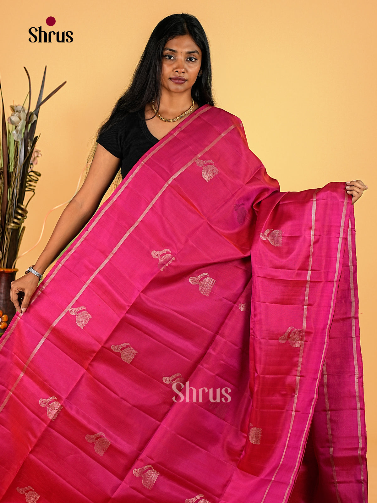 Soft Silk Saree - EI23104