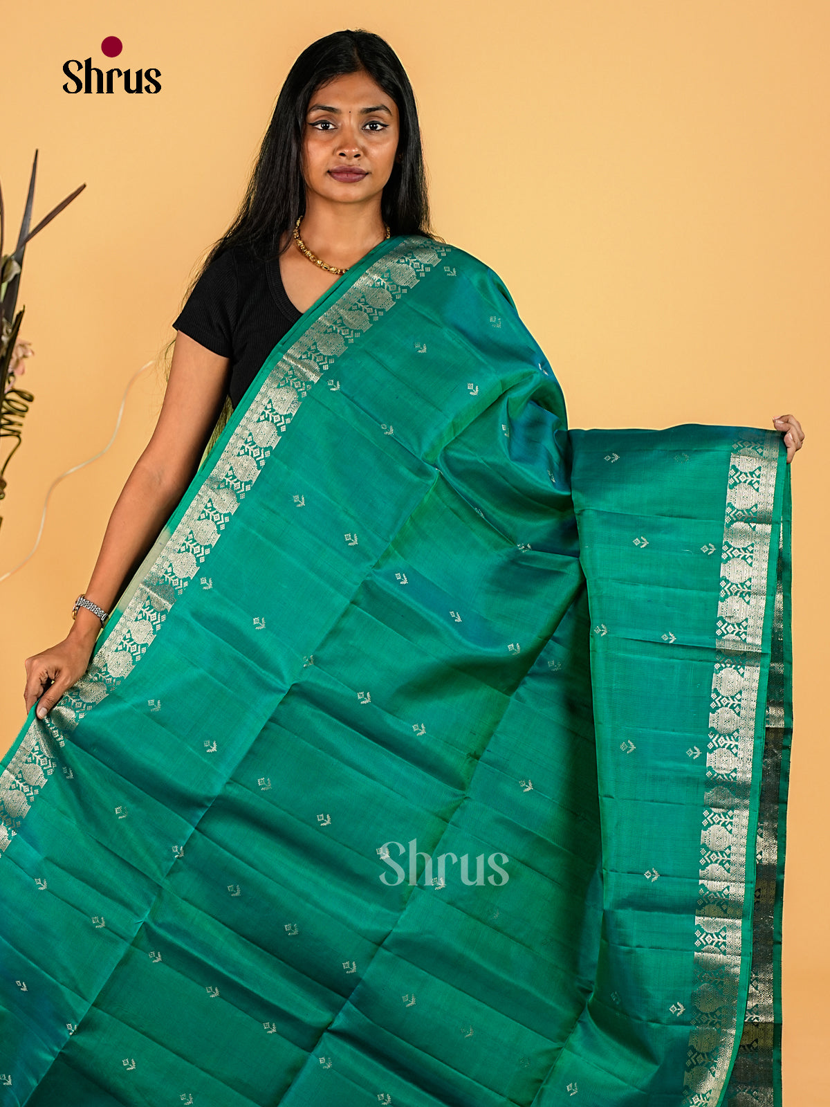 Soft Silk Saree - EI23105