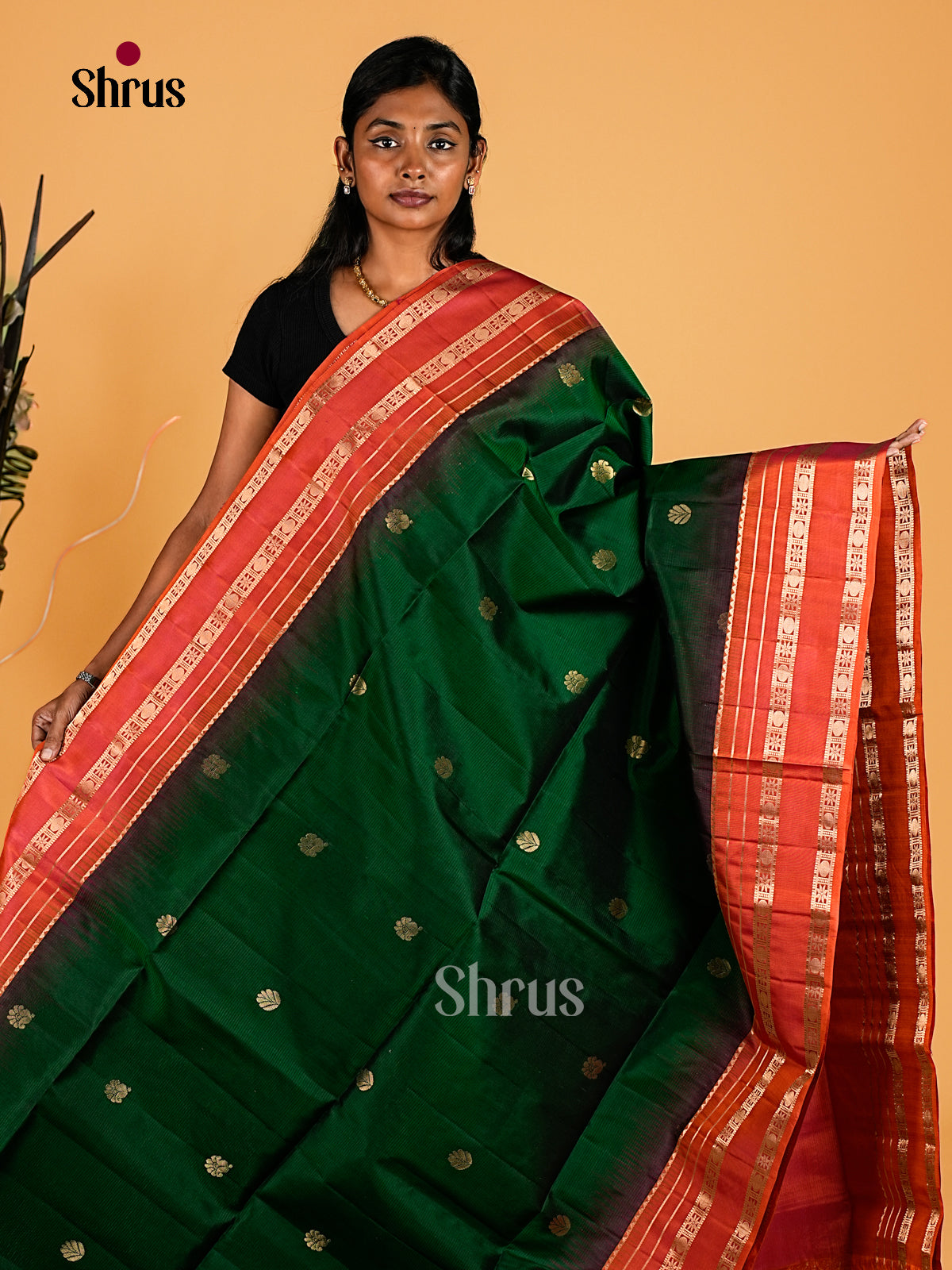 Soft Silk Saree - EI23112
