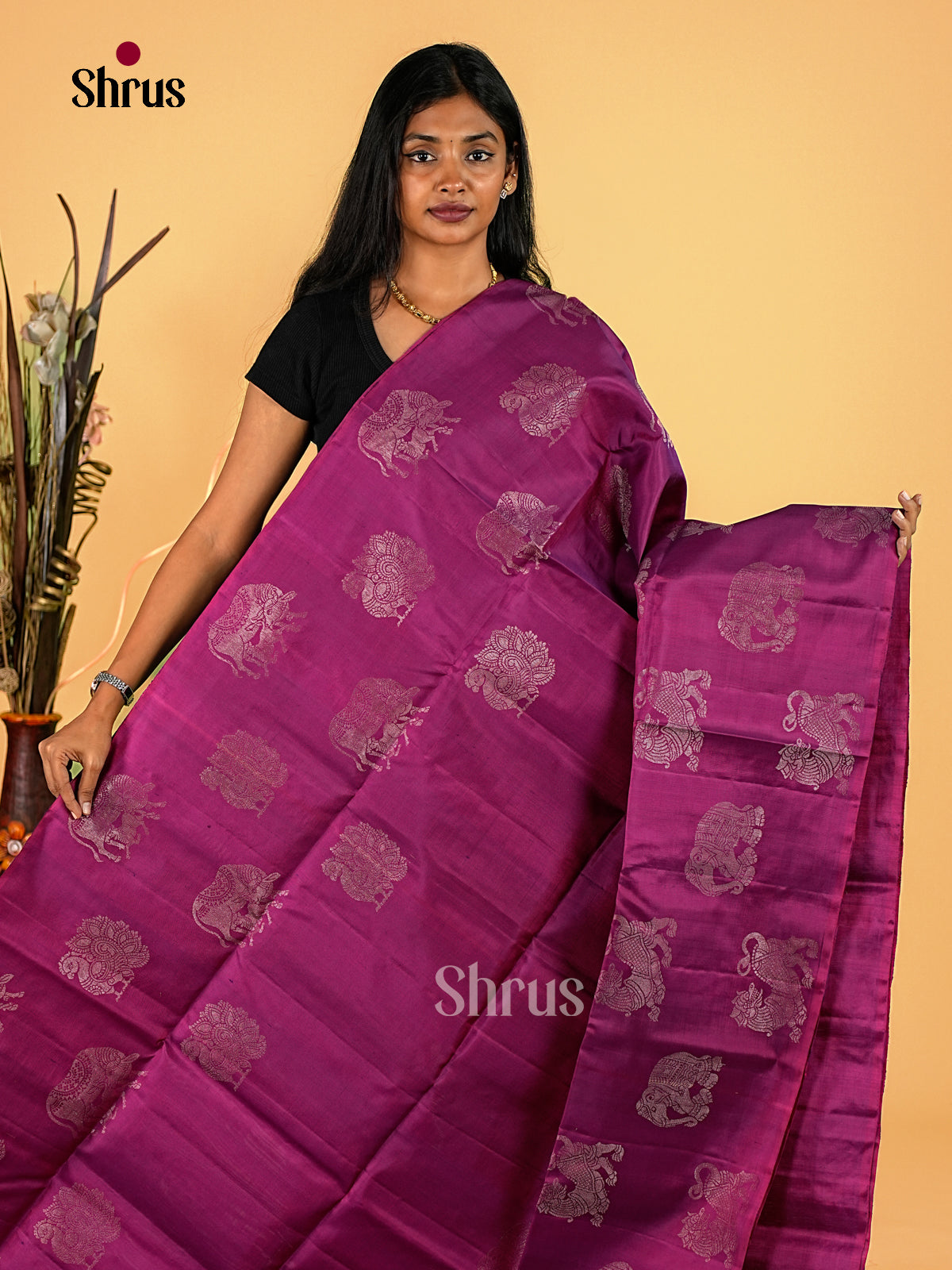 Soft Silk Saree - EI23156