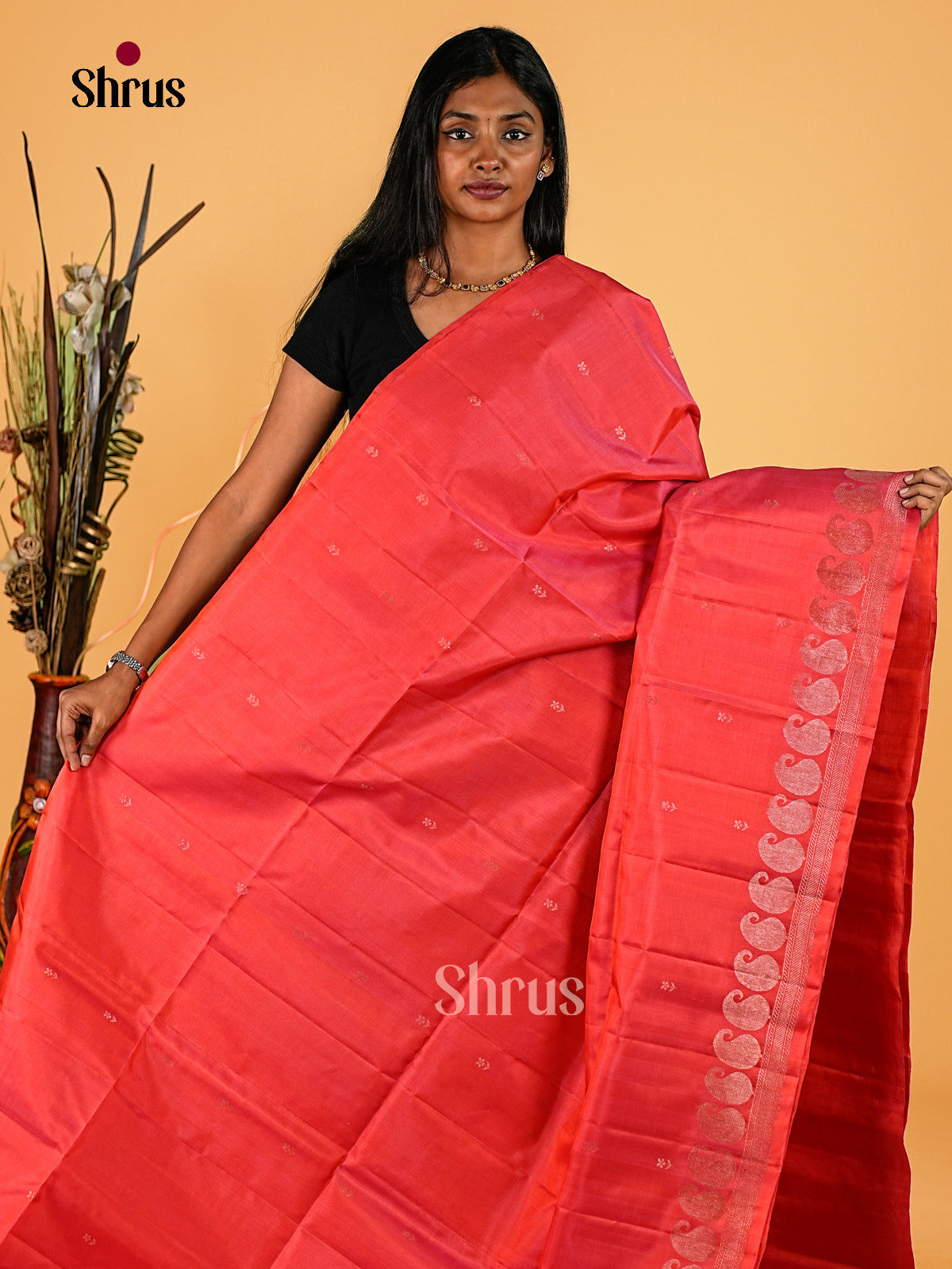 Soft Silk Saree - EI23168