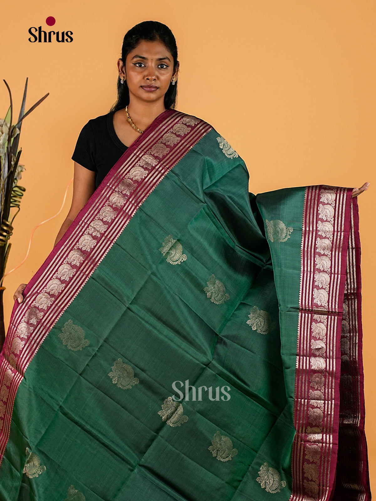 Soft Silk Saree - EI23190
