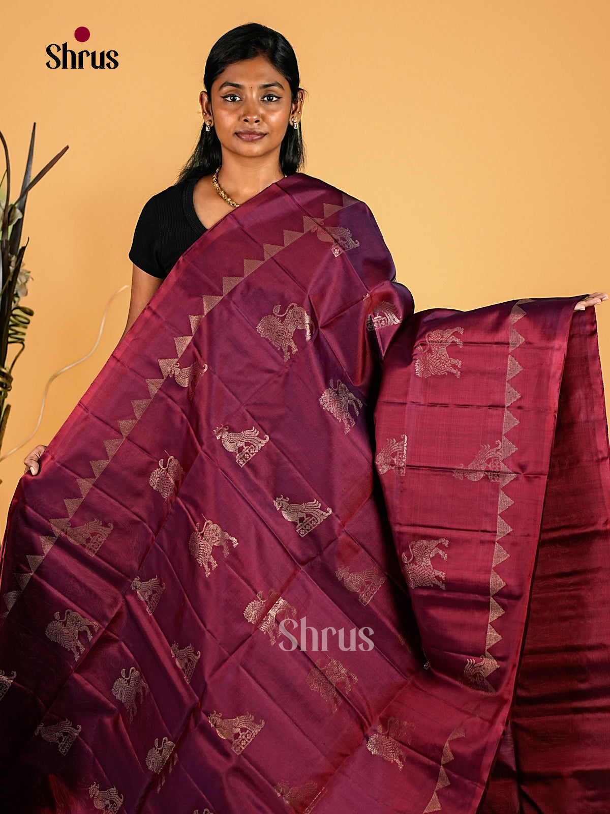 Soft Silk Saree - EI23192
