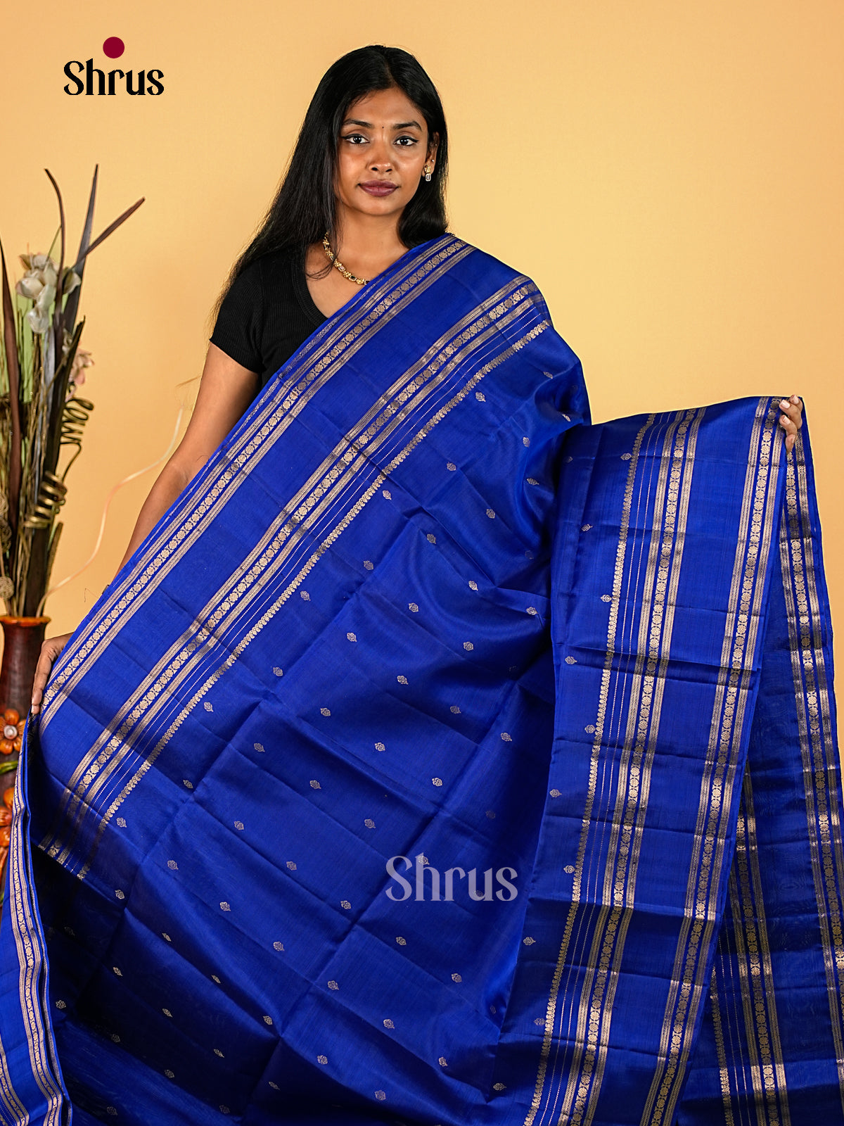 Soft Silk Saree - EI23200