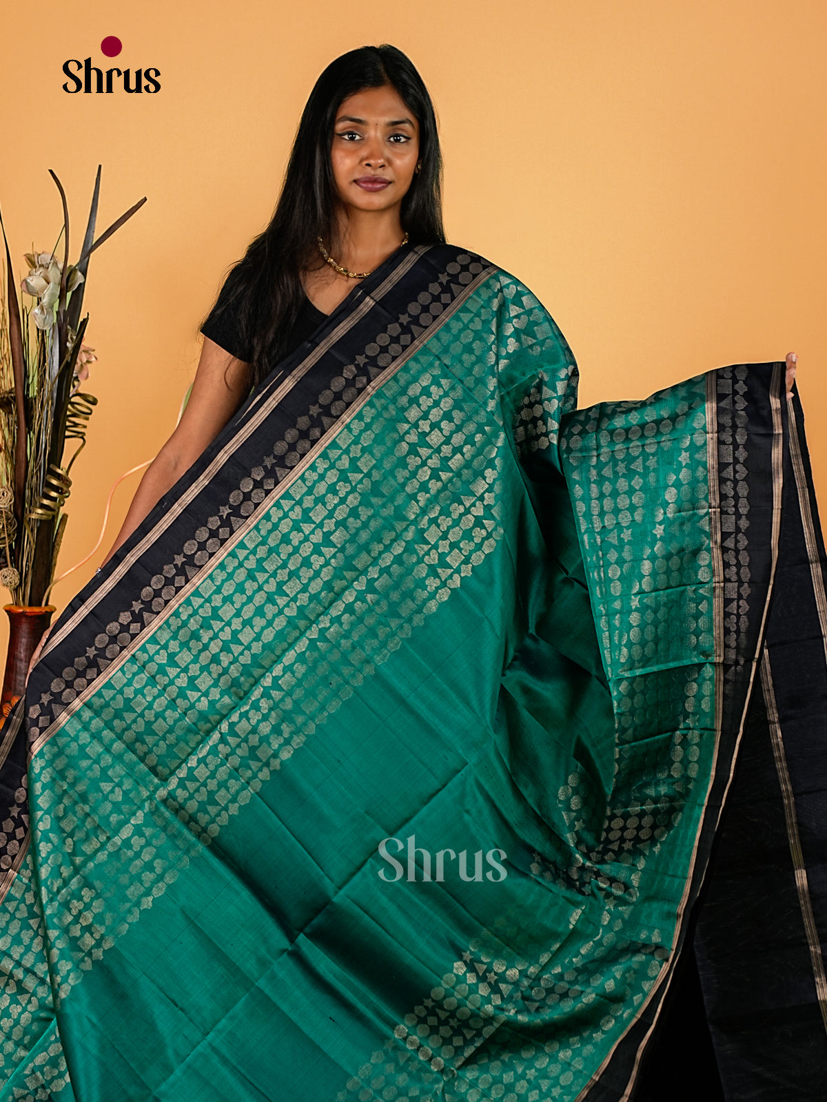 Soft Silk Saree - EI23204