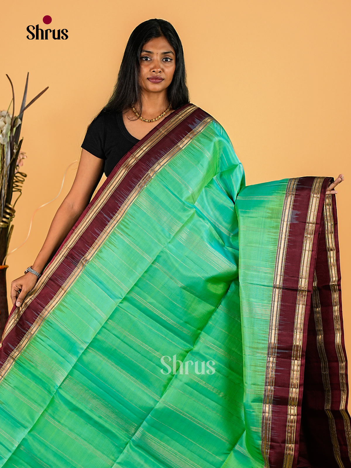 Soft Silk Saree - EI23217