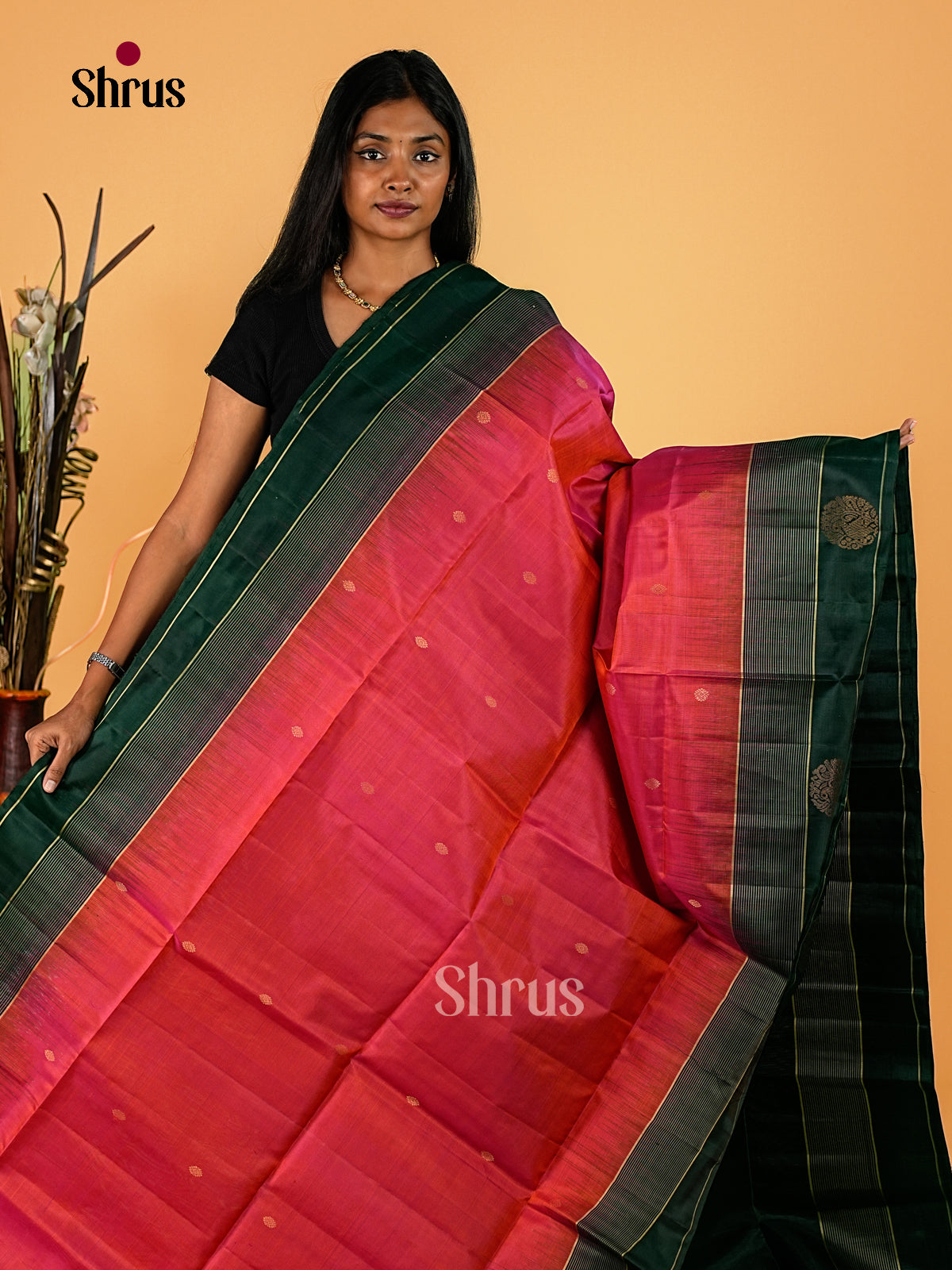 Soft Silk Saree - EI23228
