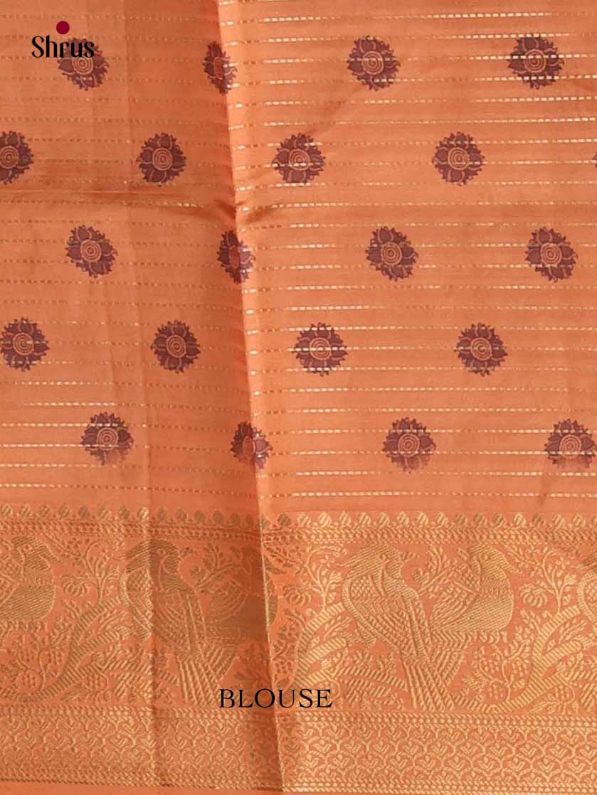 Semi Tussar Saree - EI24011