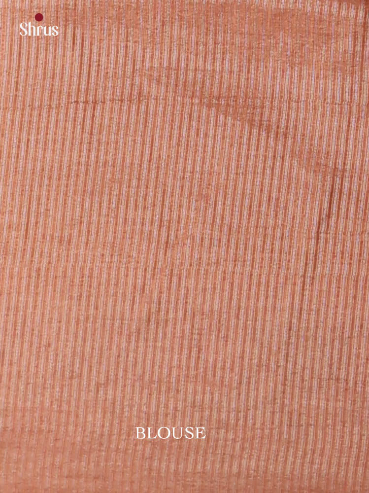 Tussar Embroidery Saree - EI24215