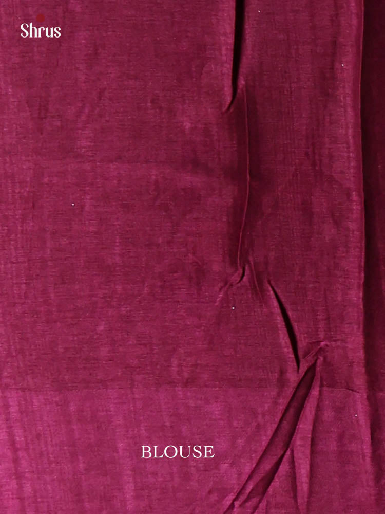Tussar Embroidery Saree - EI24230