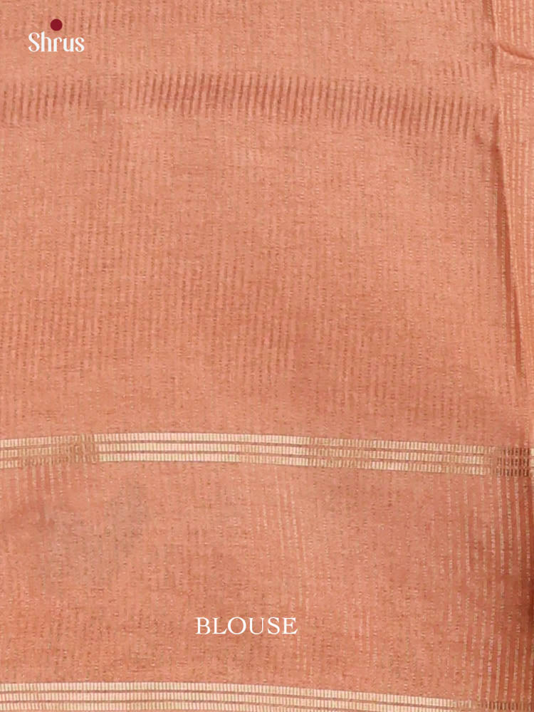Tussar Embroidery Saree - EI24258