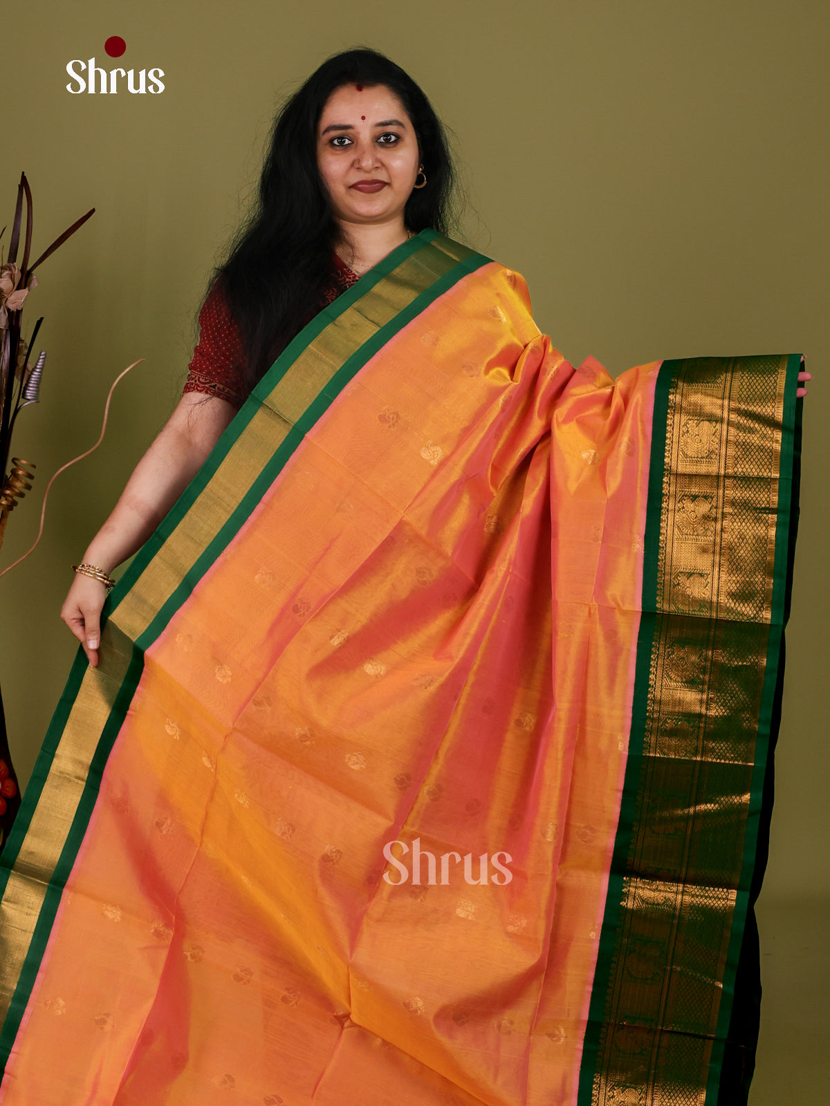 Silk Cotton Saree - EI30013