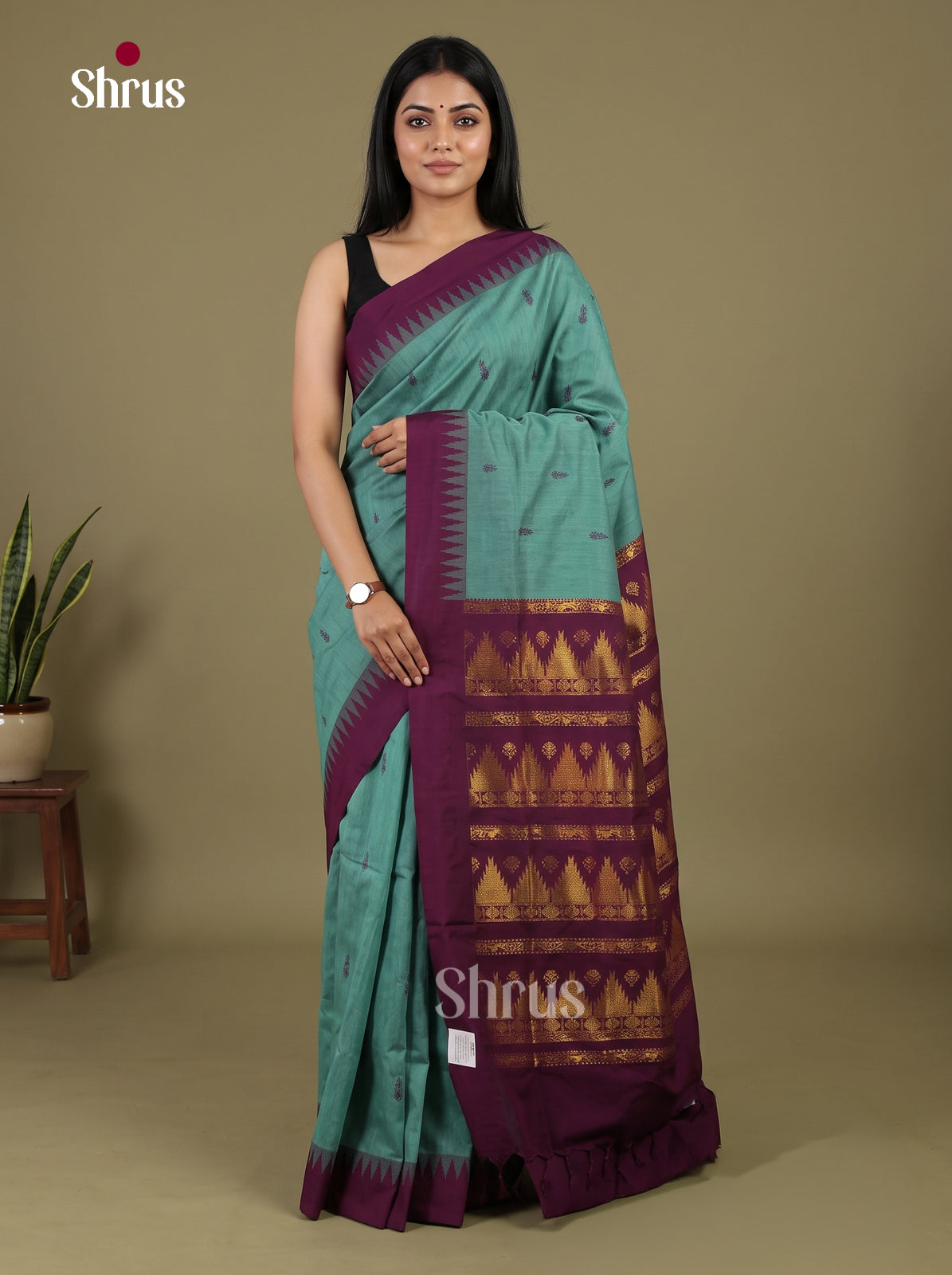 Kalyani Cotton Saree - EI30159