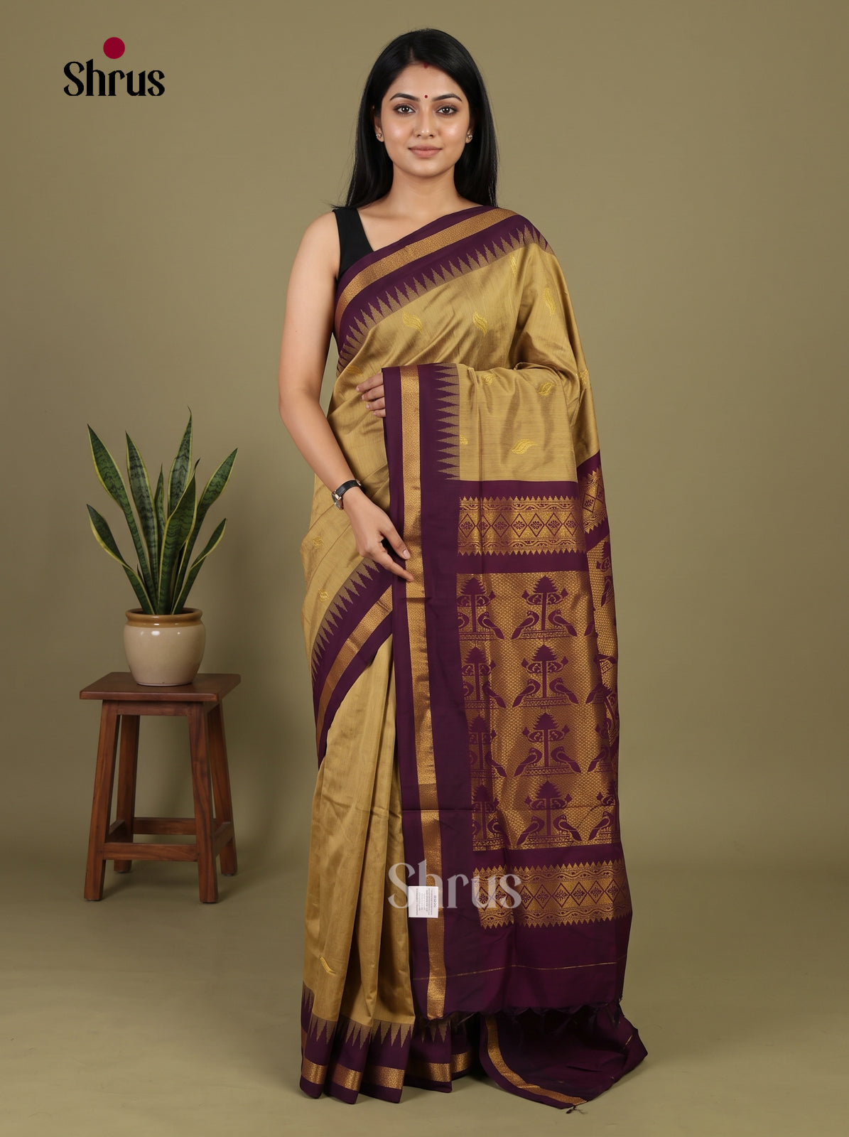 Kalyani Cotton Saree - EI30187