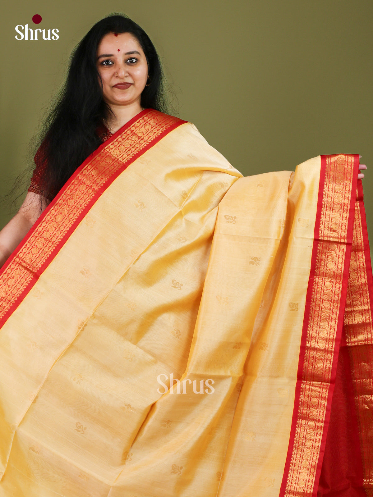 Silk Cotton Saree - EJ01003