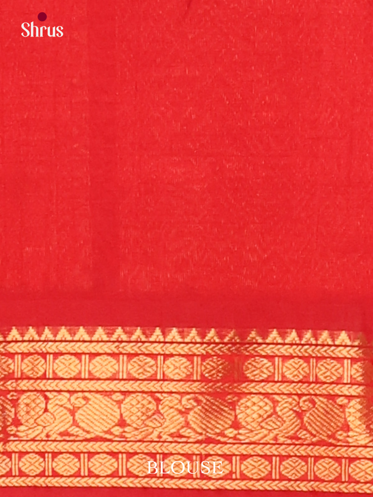 Silk Cotton Saree - EJ01007