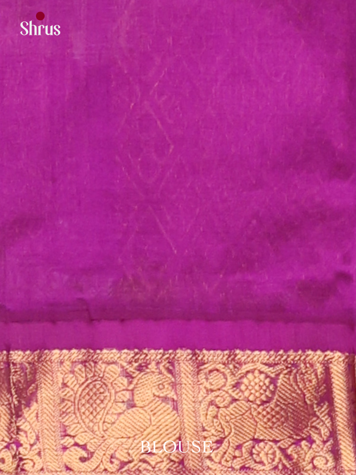Silk Cotton Saree - EJ01009
