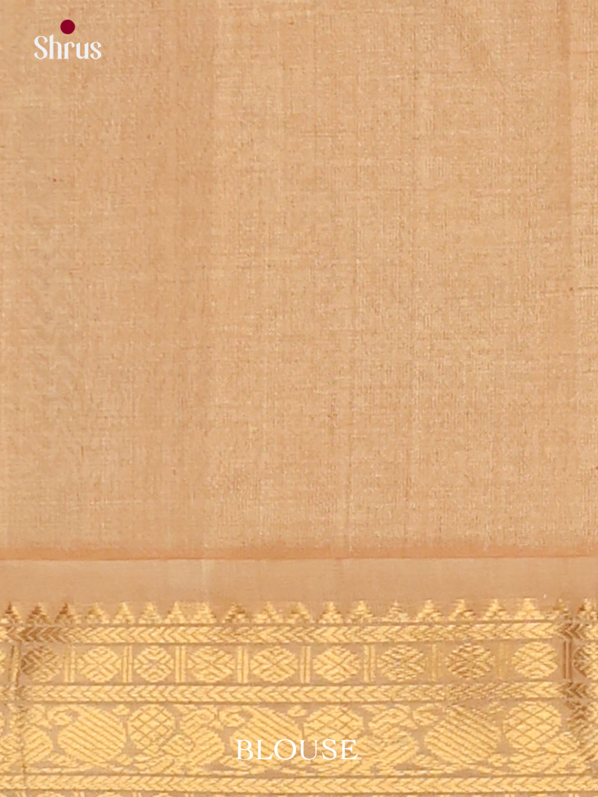Silk Cotton Saree - EJ01014