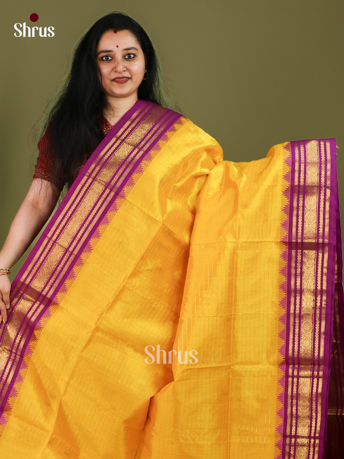 Silk Cotton Saree - EJ01015