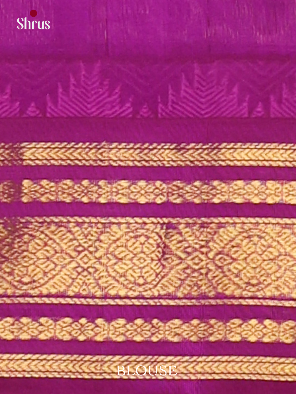 Silk Cotton Saree - EJ01015
