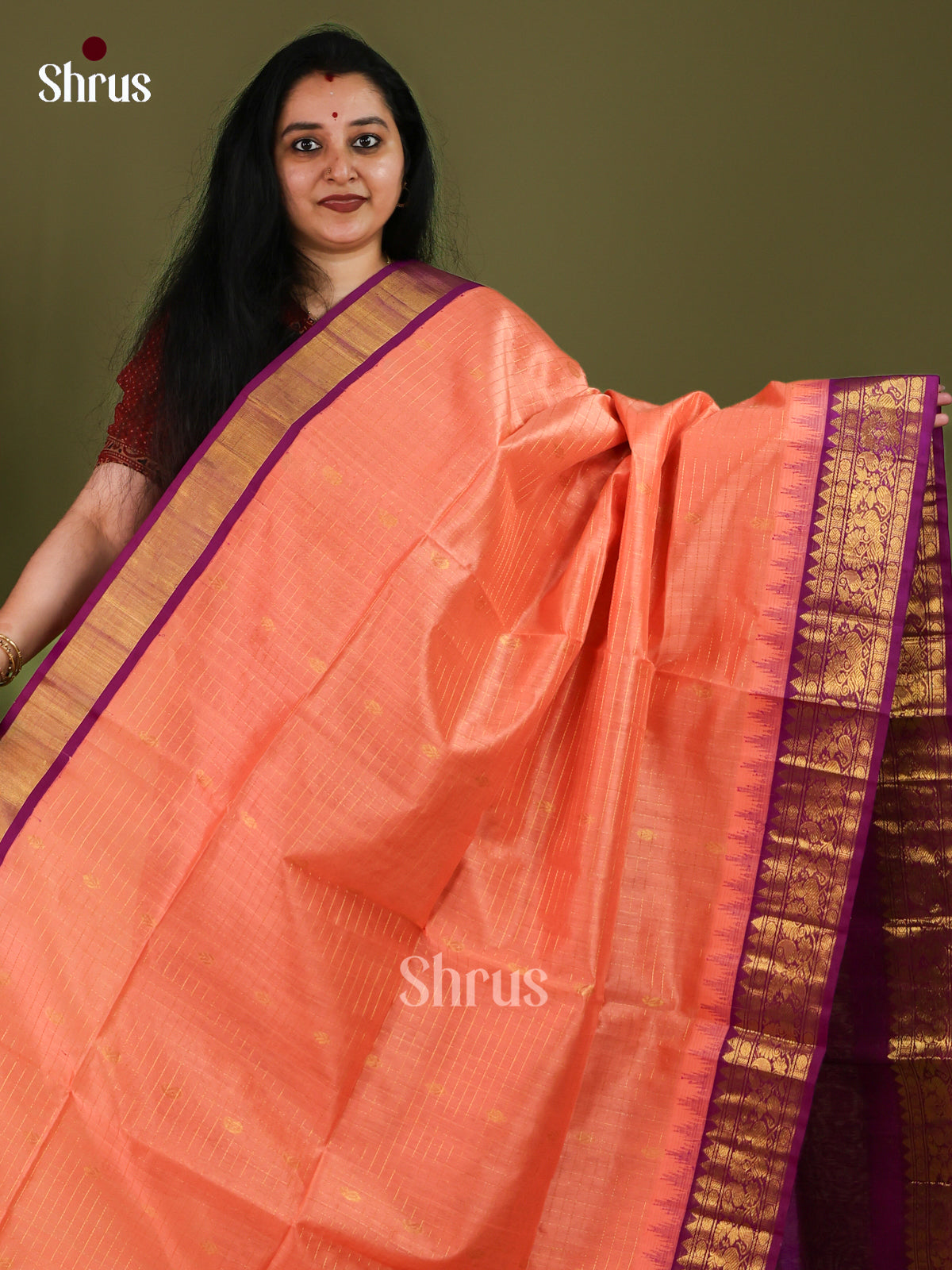 Silk Cotton Saree - EJ01016
