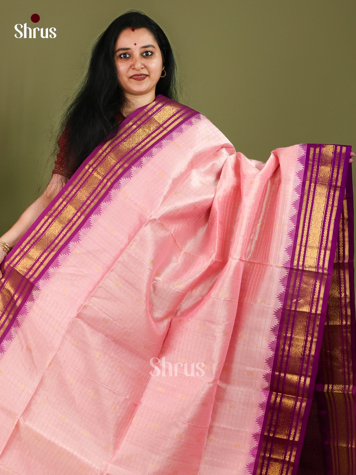 Silk Cotton Saree - EJ01019