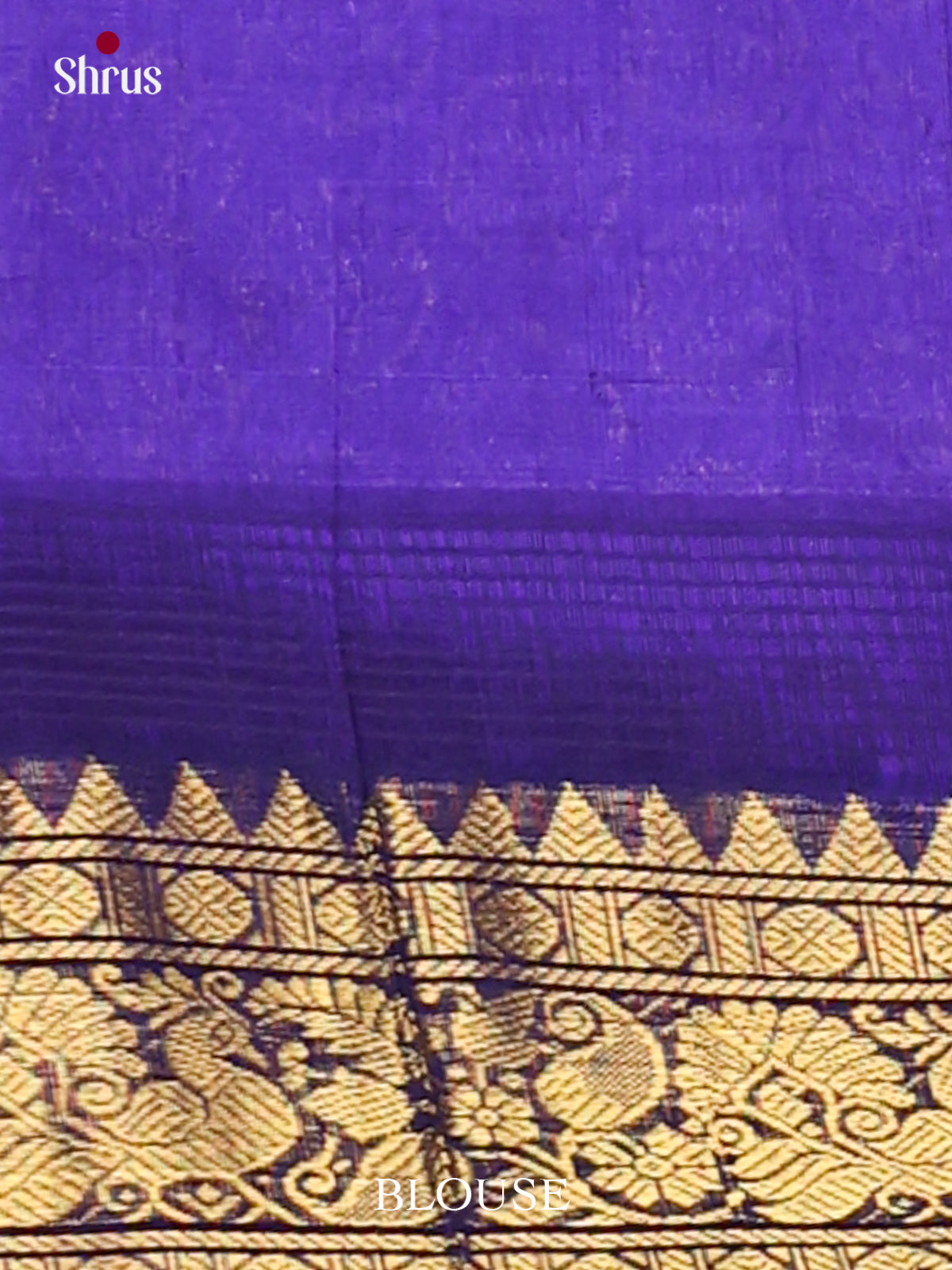 Silk Cotton Saree - EJ01021