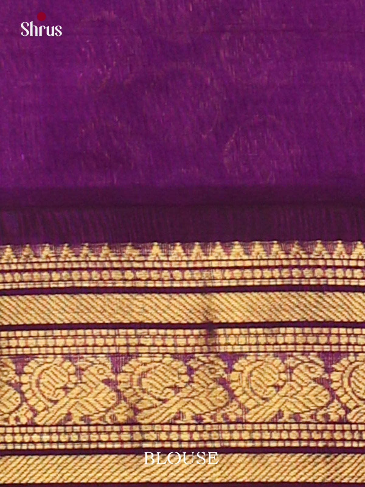 Silk Cotton Saree - EJ01024