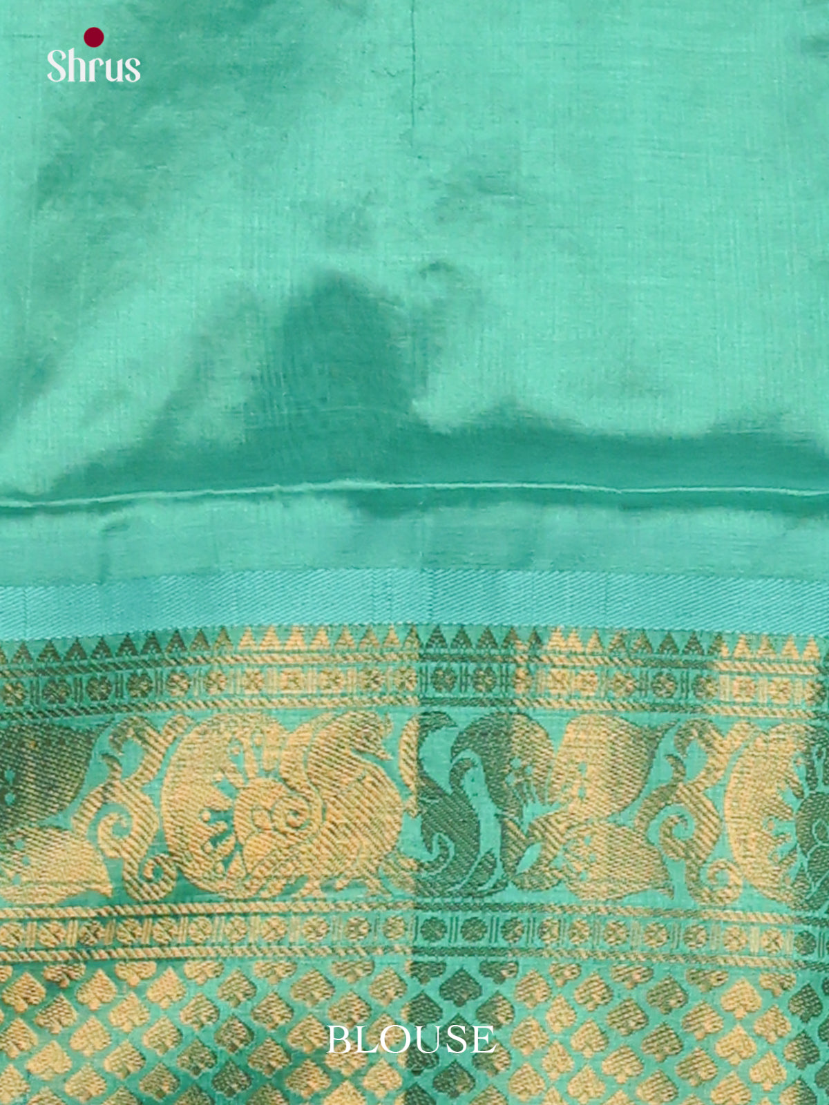 Silk Cotton Saree - EJ01031