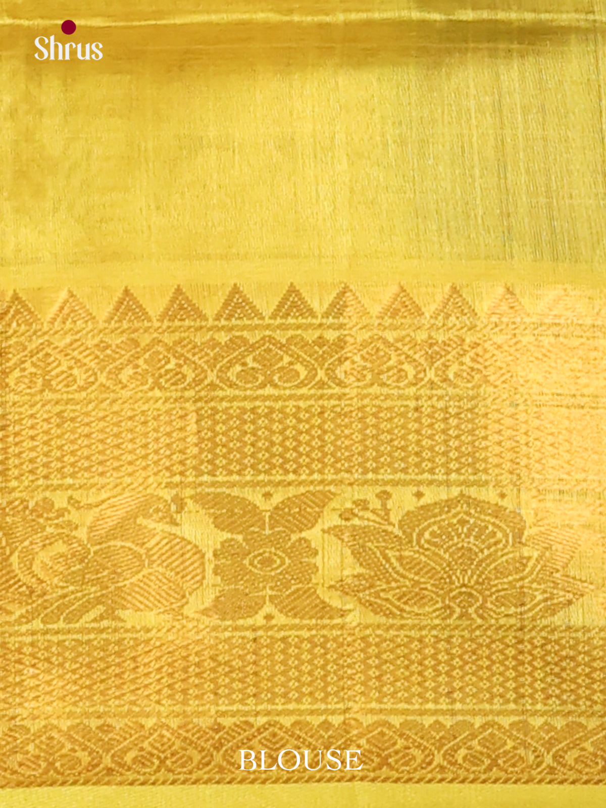 Silk Cotton Saree - EJ01036
