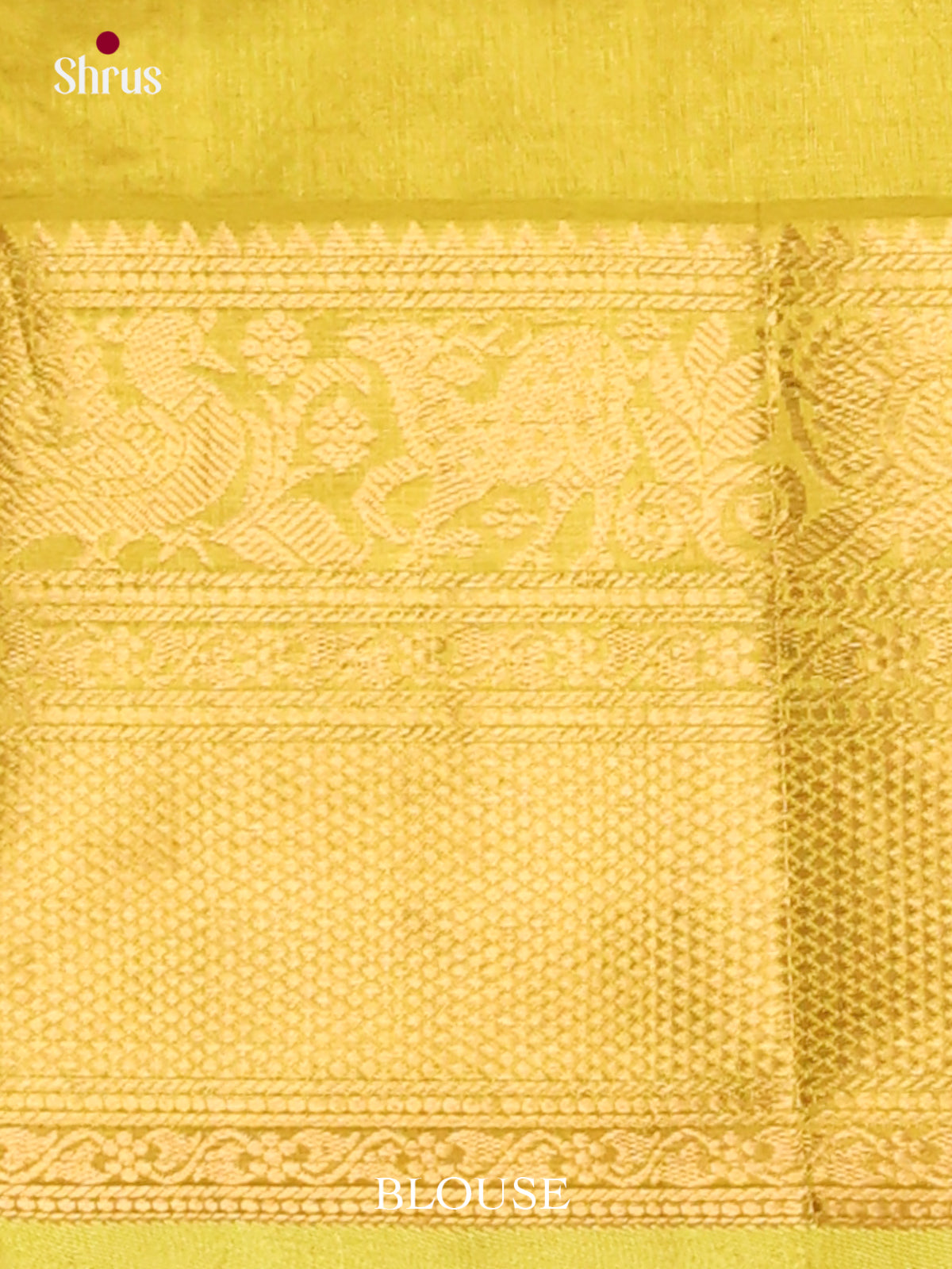 Silk Cotton Saree - EJ01038
