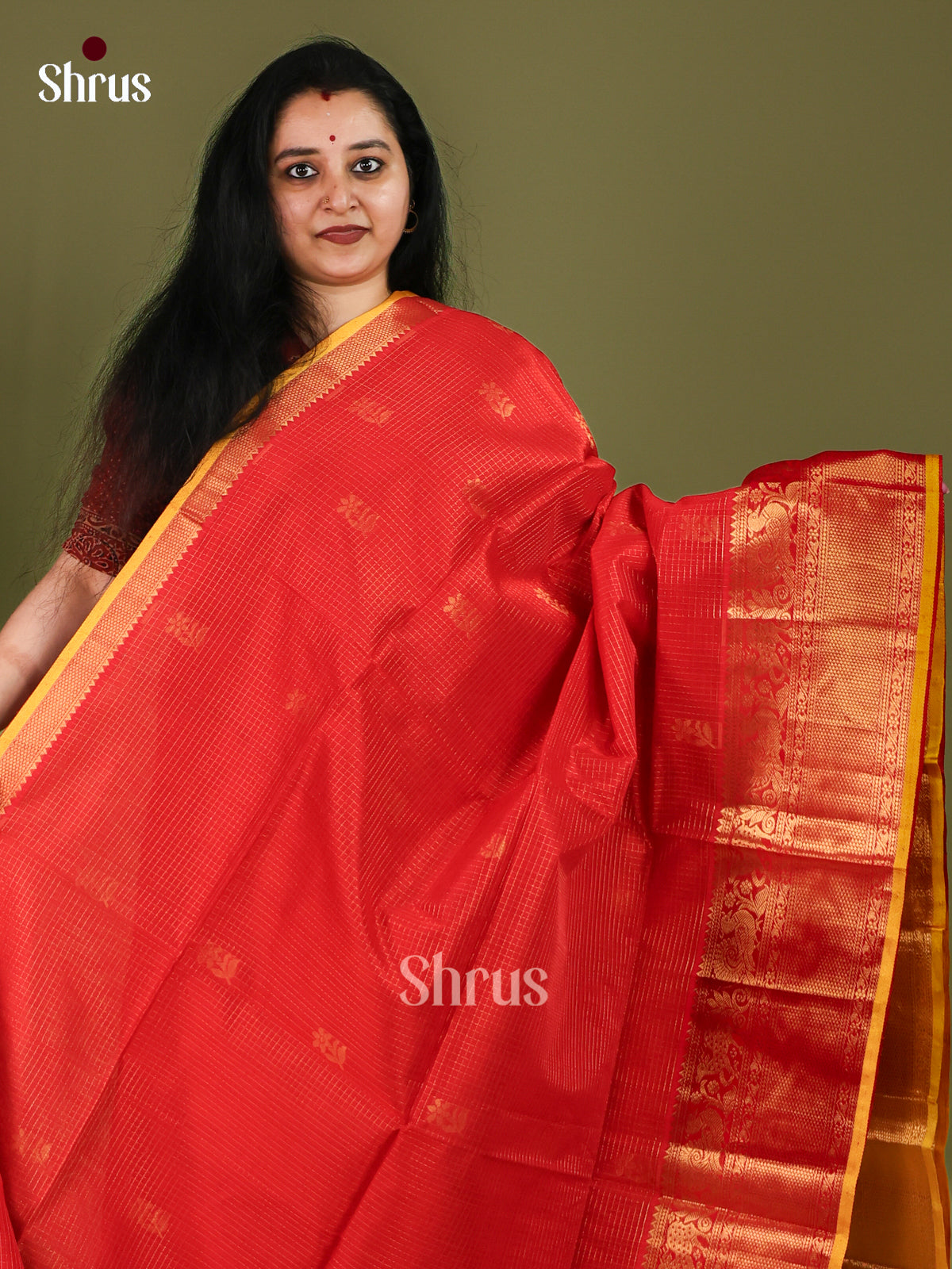 Silk Cotton Saree - EJ01041