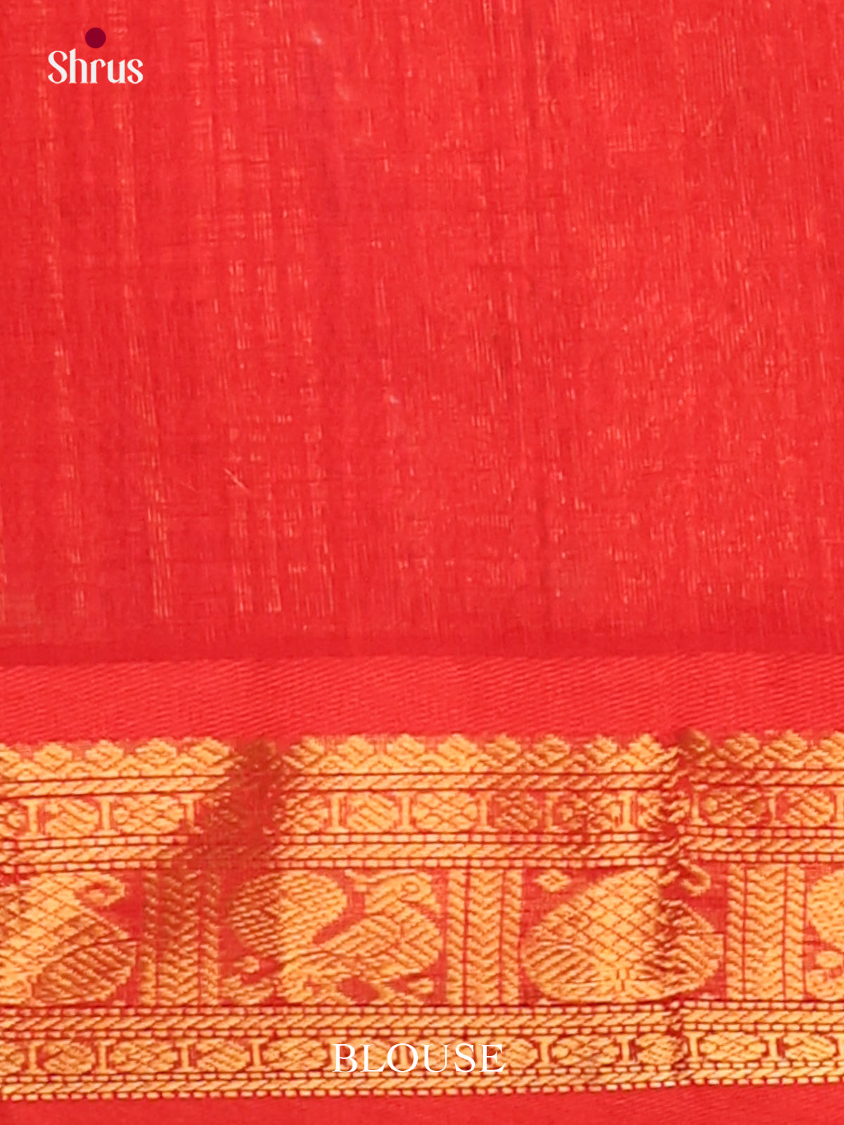 Silk Cotton Saree - EJ01051