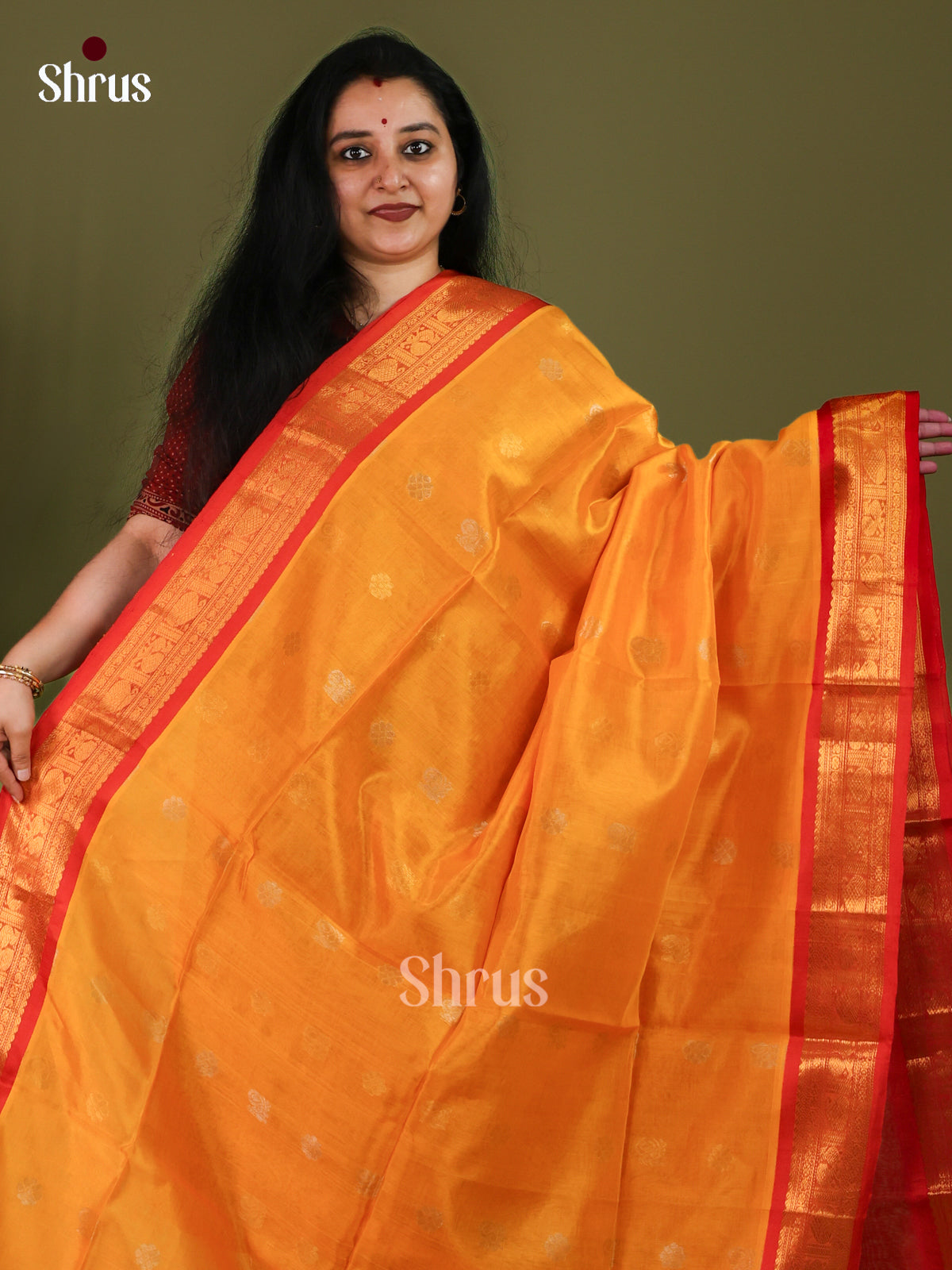 Silk Cotton Saree - EJ01052