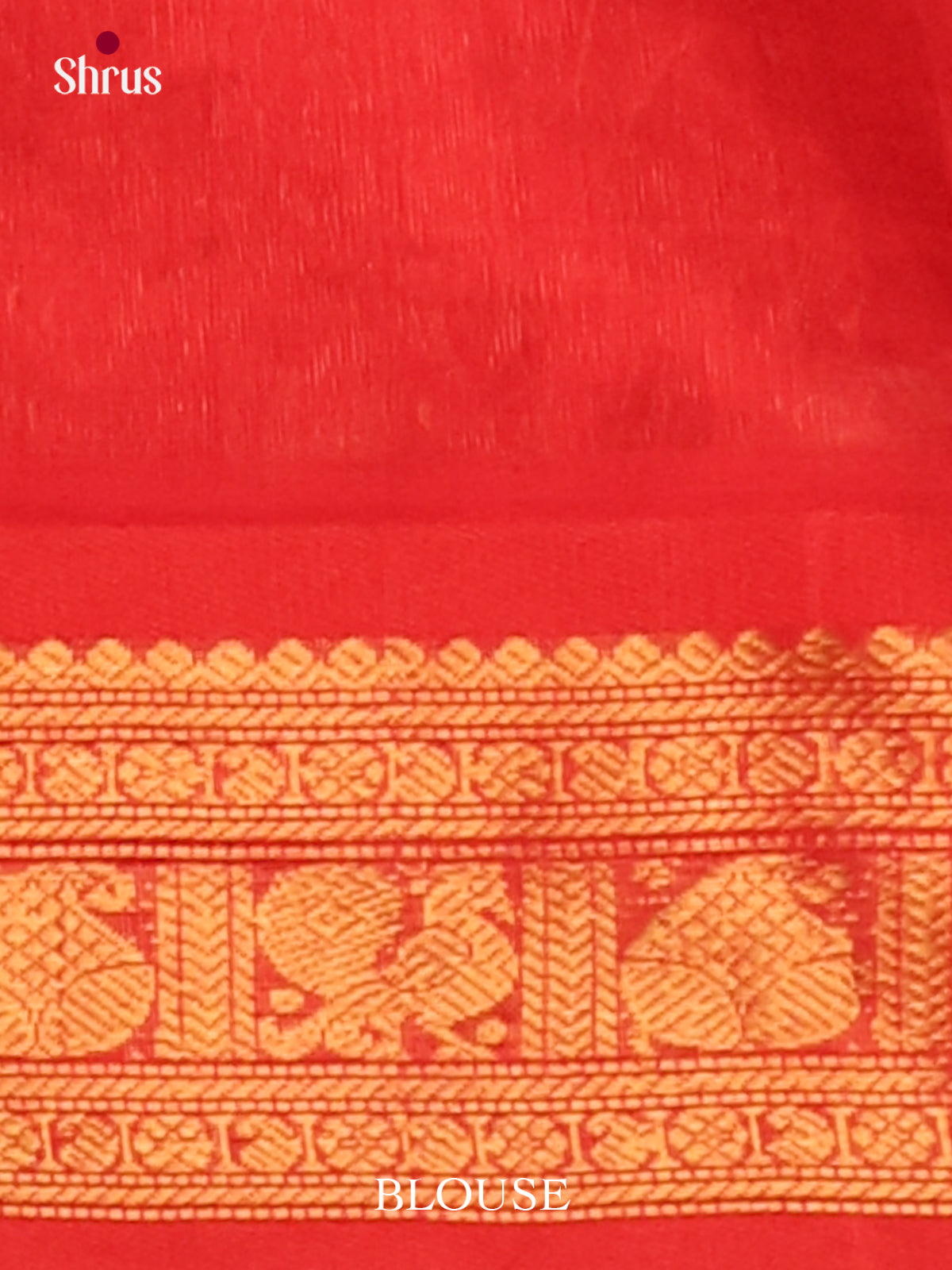 Silk Cotton Saree - EJ01053