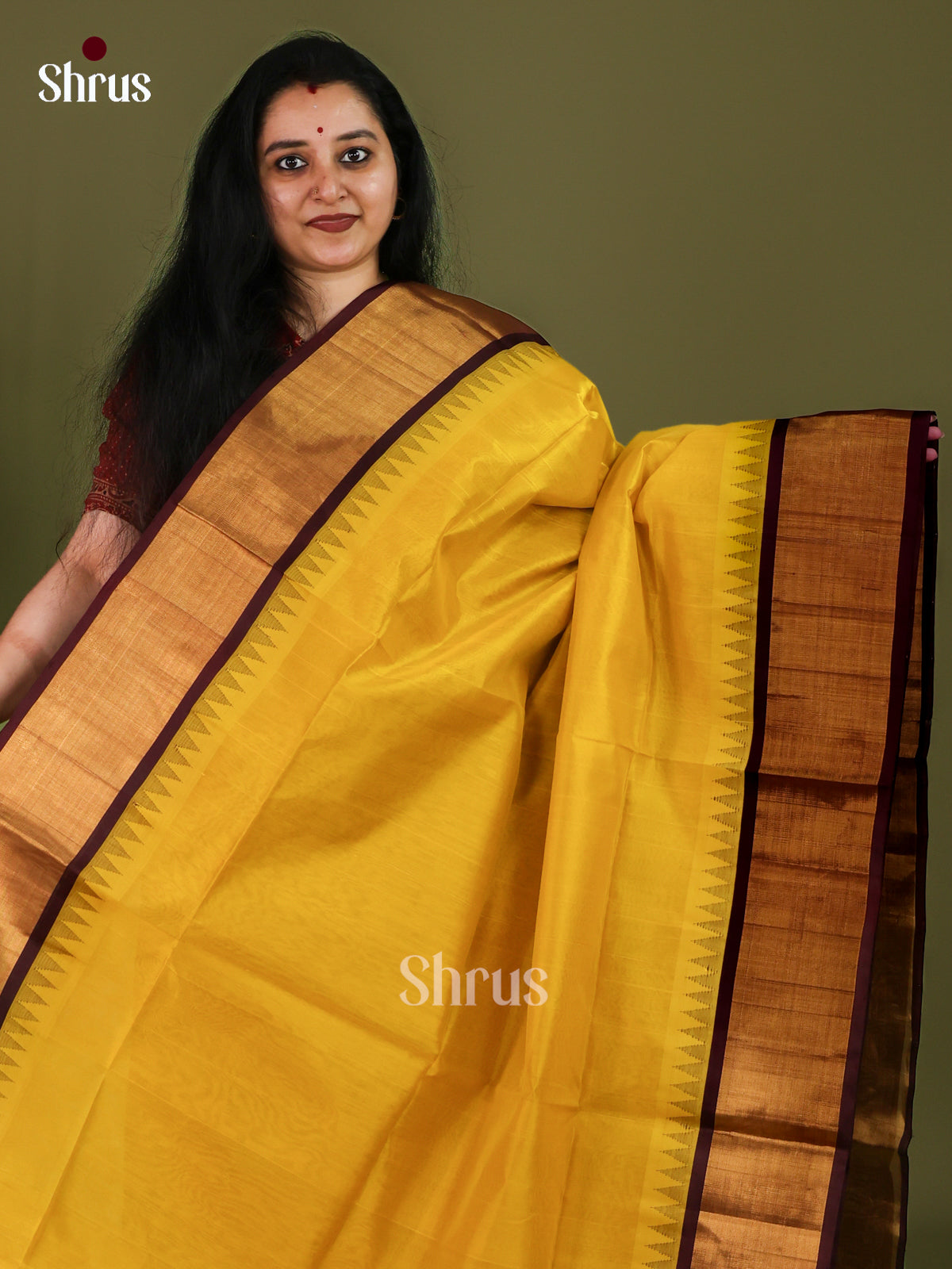 Silk Cotton Saree - EJ01067