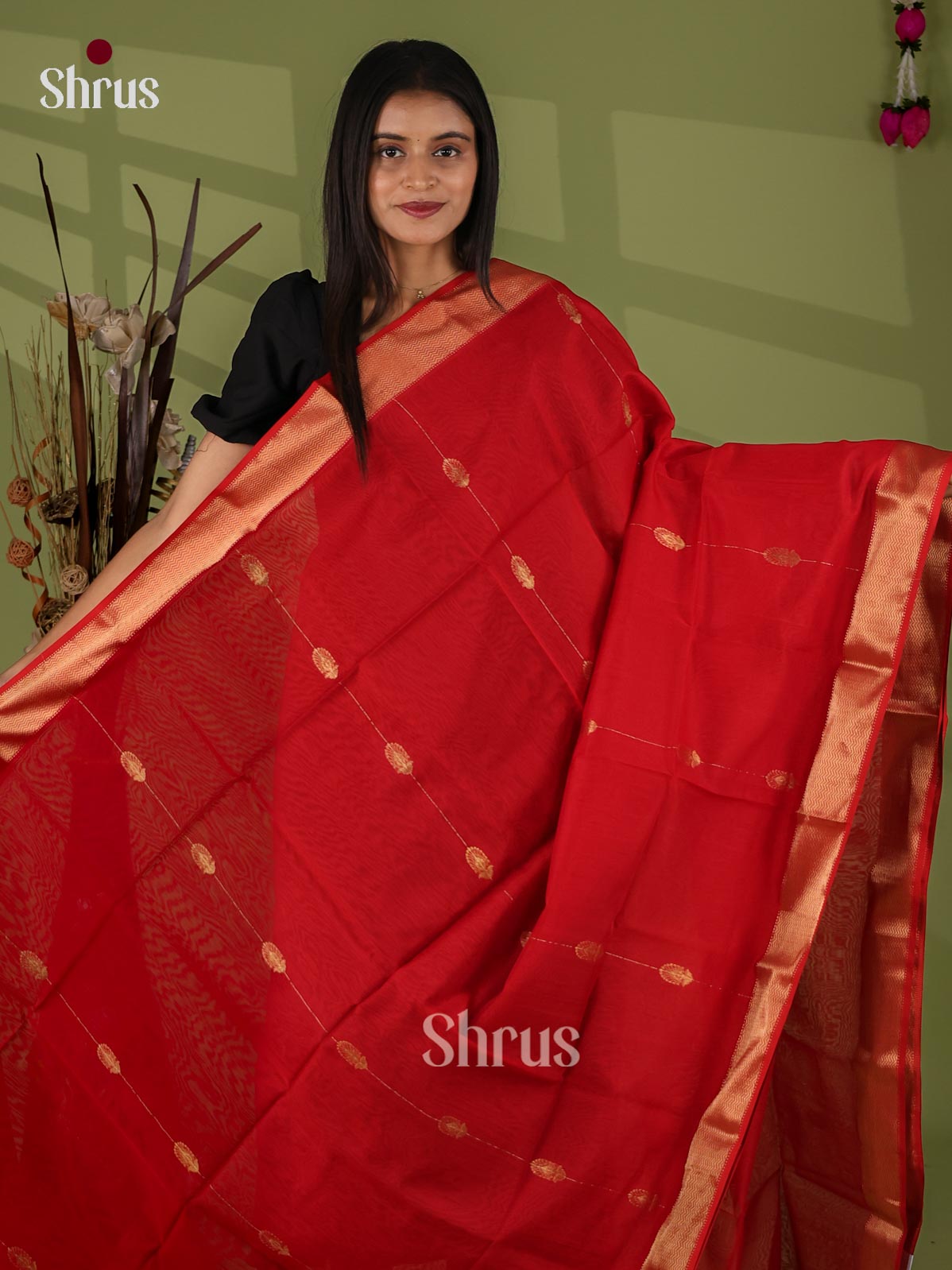 Maheshwari silkcotton Saree - EJ03088